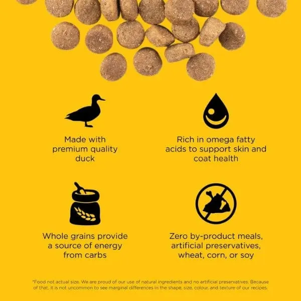 Go! Solutions Skin & Coat Care Duck Recipe with Grains Dry Dog Food